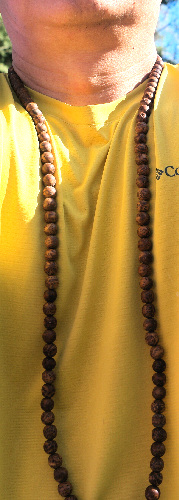 Bodhi Seed Mala/Prayer Beads